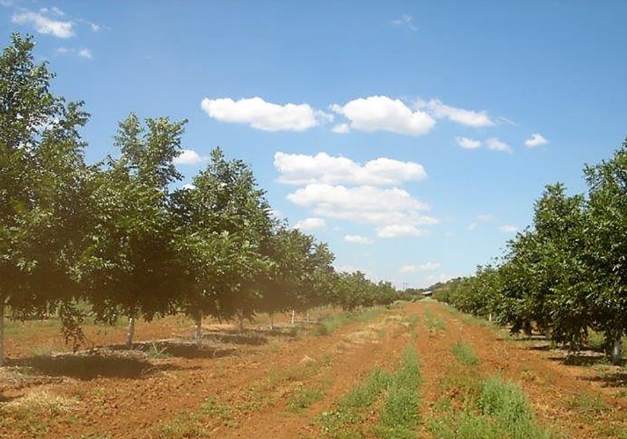 3 Bedroom Property for Sale in Hartswater Rural Northern Cape